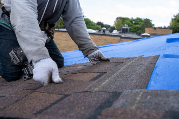 Best Gutter Installation and Roofing  in Newport, TN